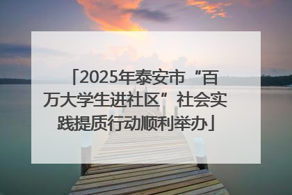2025年泰安市“百万大学生进社区”社会实践提质行动顺利举办