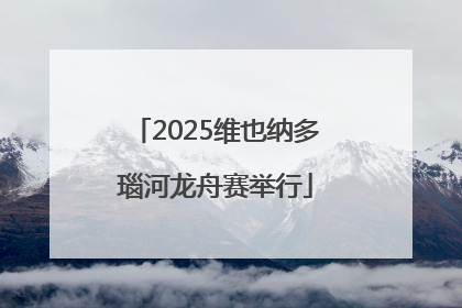 2025维也纳多瑙河龙舟赛举行