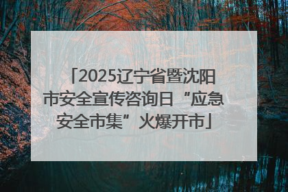 2025辽宁省暨沈阳市安全宣传咨询日“应急安全市集”火爆开市