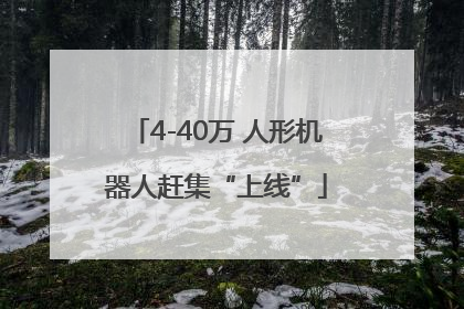 4-40万 人形机器人赶集“上线”
