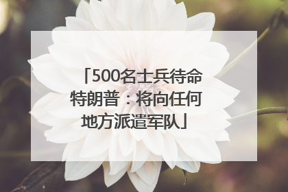 500名士兵待命 特朗普：将向任何地方派遣军队