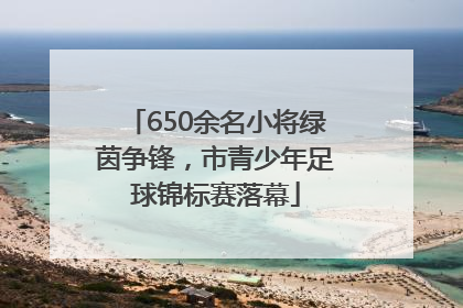 650余名小将绿茵争锋，市青少年足球锦标赛落幕