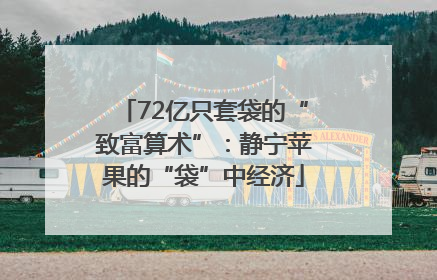 72亿只套袋的“致富算术”：静宁苹果的“袋”中经济