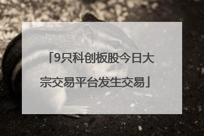 9只科创板股今日大宗交易平台发生交易