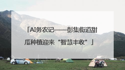 AI务农记——彭集街道甜瓜种植迎来“智慧丰收”
